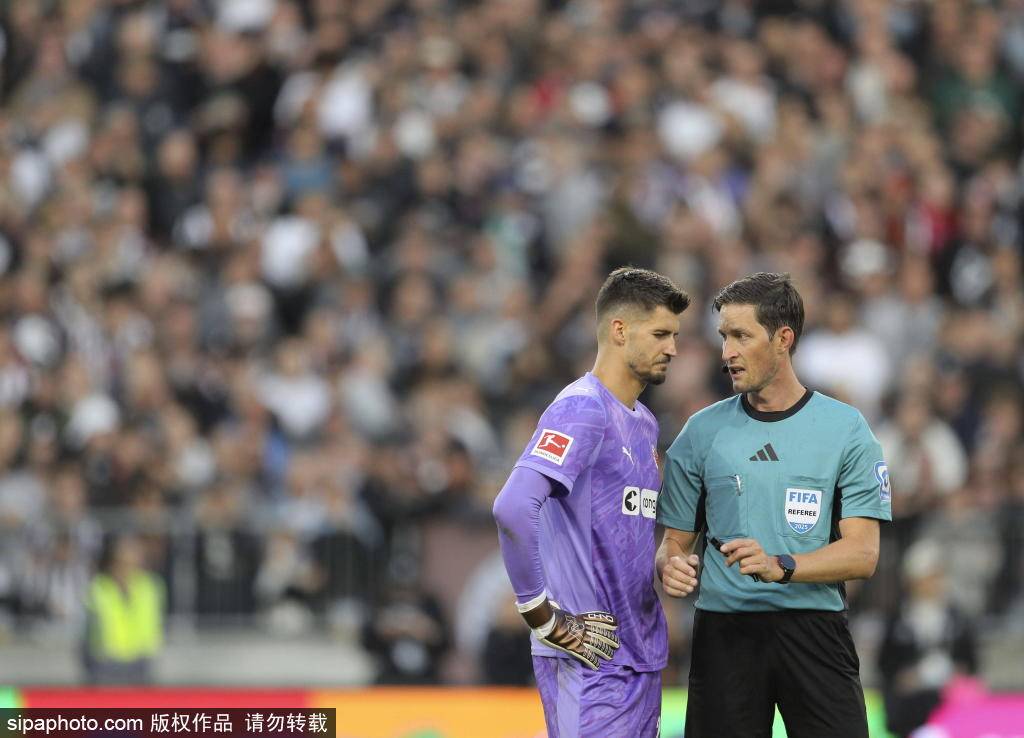 我们看到了 我们看到了